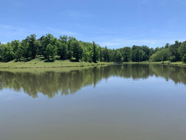 Catfish Farms Lizella