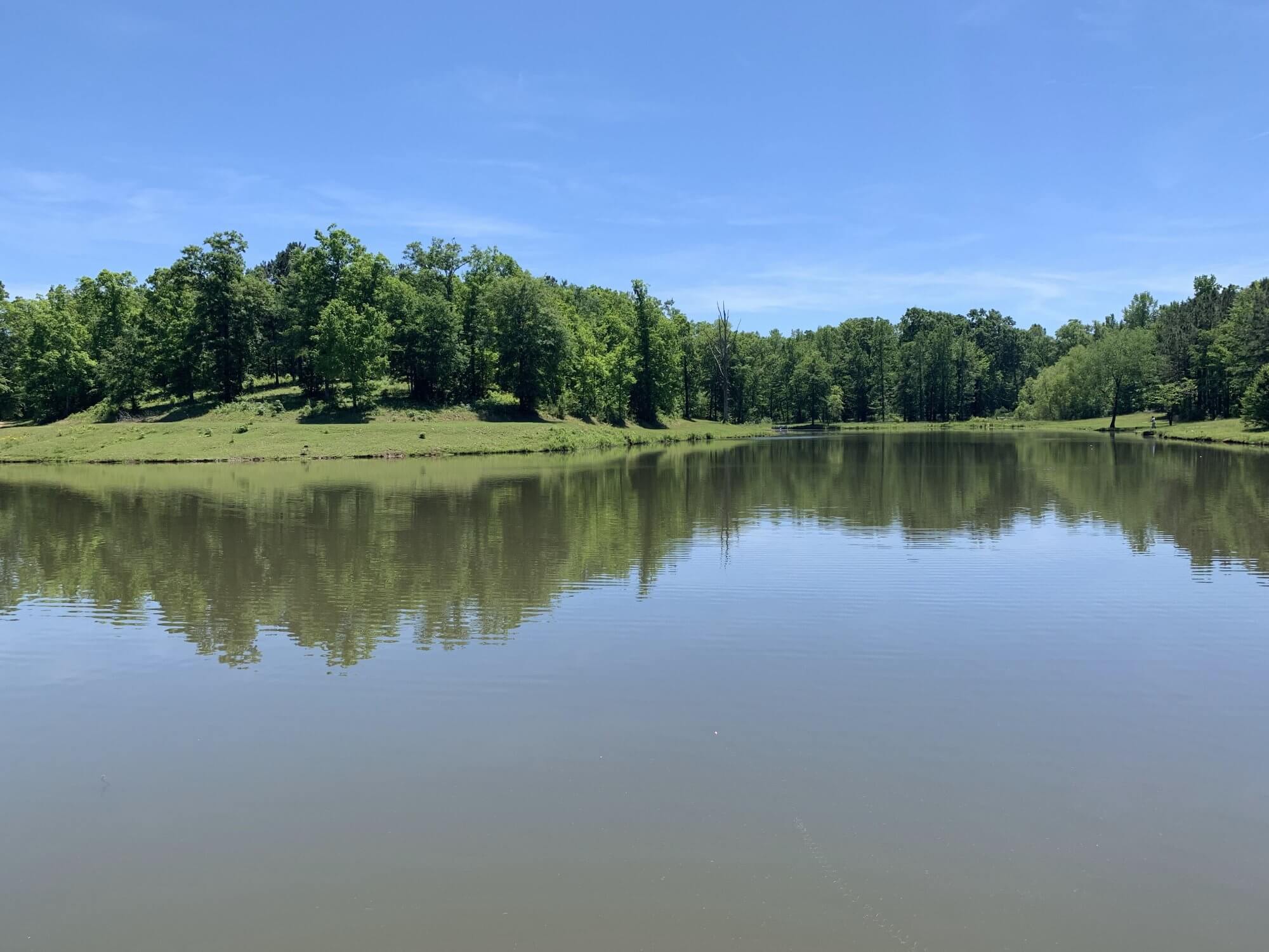 Catfish Farms Lizella – Fishing lake in Georgia 