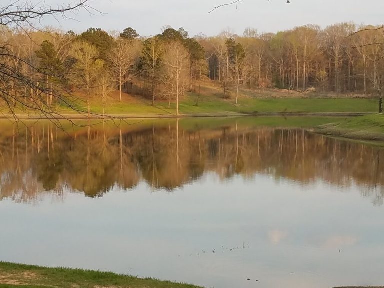 Catfish Farms Lizella