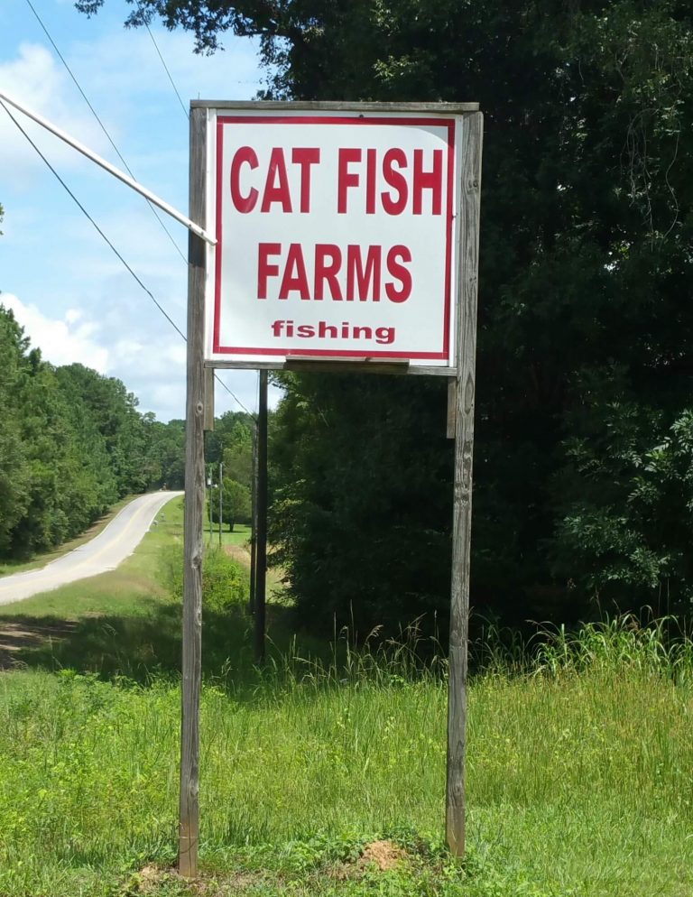 Catfish Farms Lizella