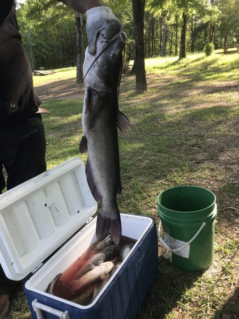 Catfish Farms Lizella