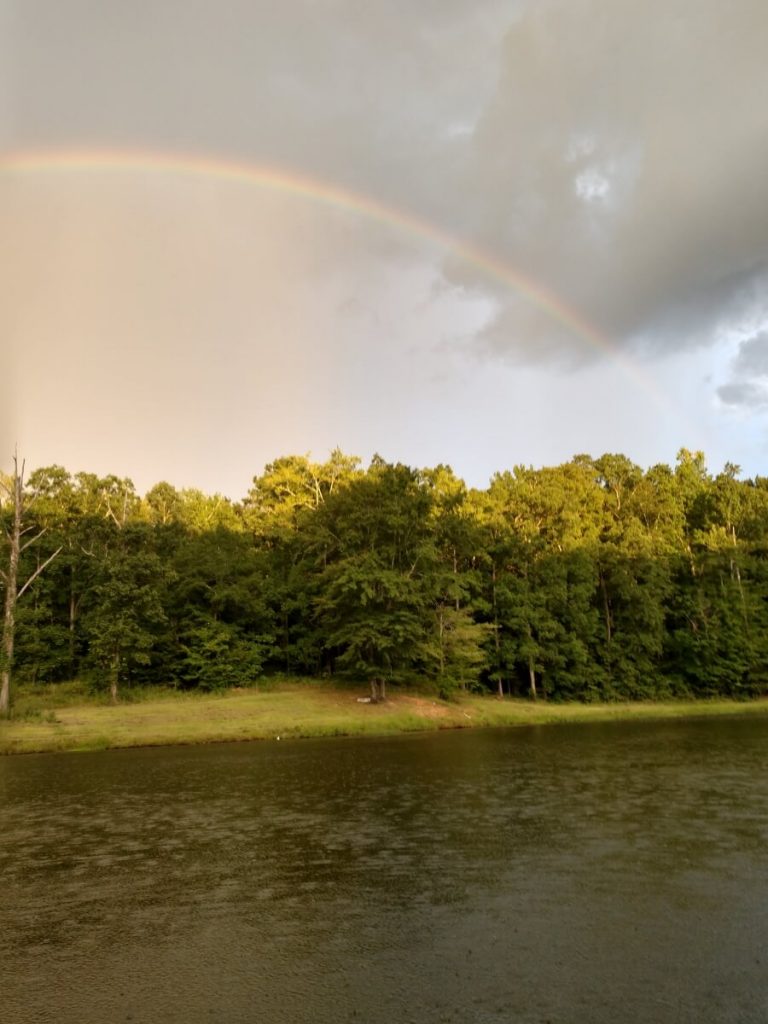 Catfish Farms Lizella